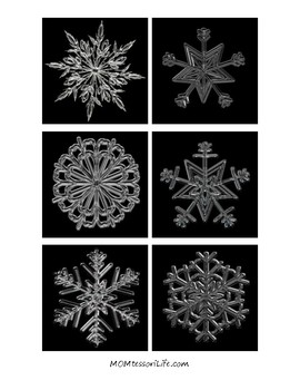Snowflake Matching – MOMtessori Life