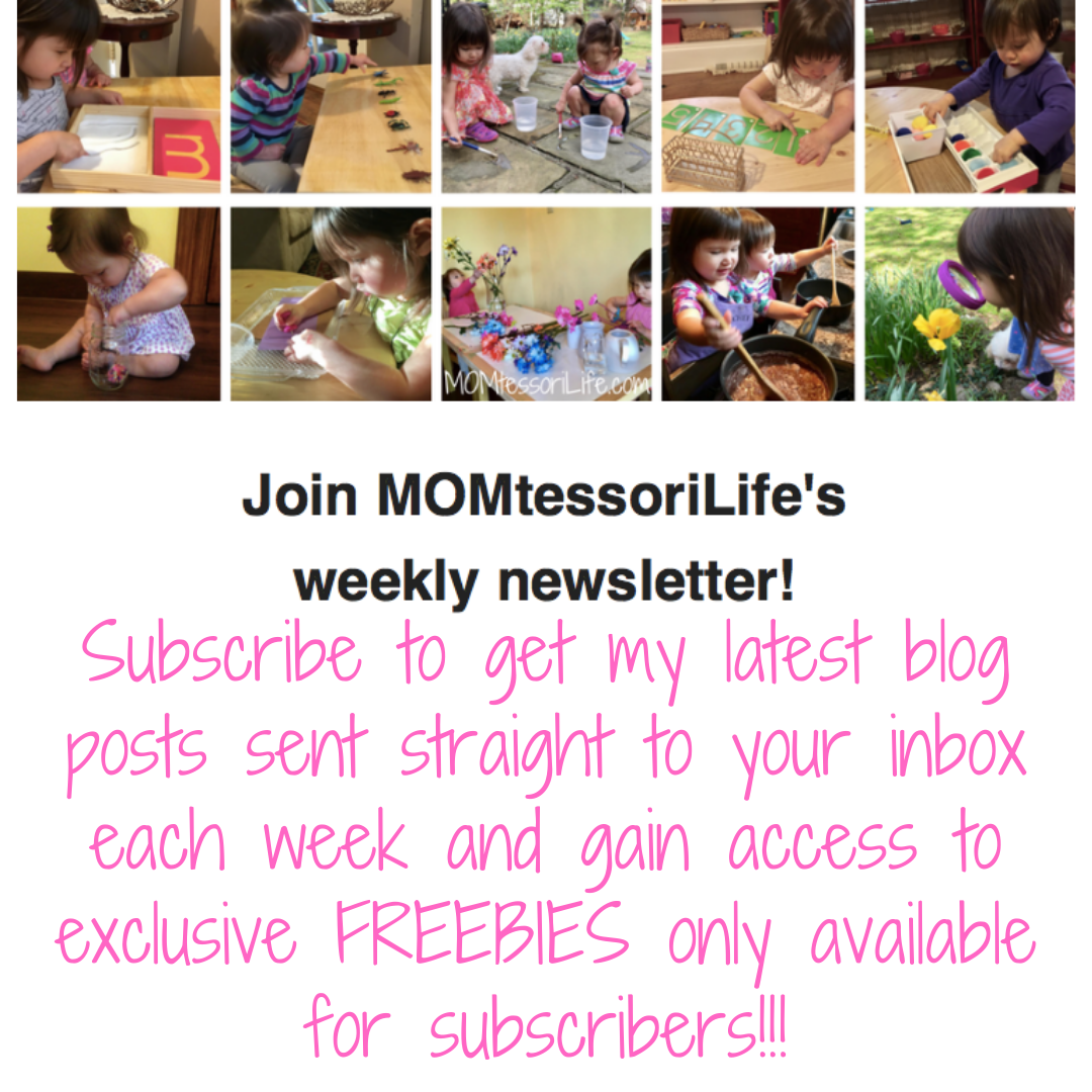 subscribe sidebar – MOMtessori Life