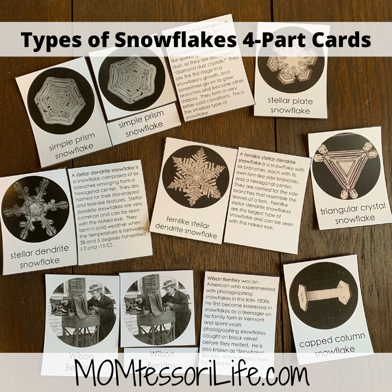 Types of Snowflakes 4-Part Cards etsy – MOMtessori Life
