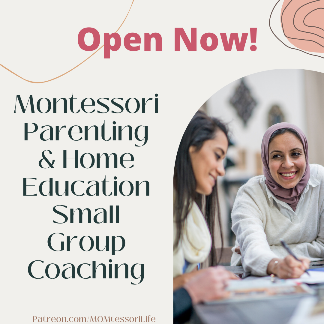 3 copy 2 – MOMtessori Life